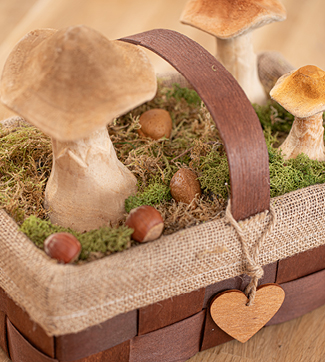 Série titre Automne/Hiver